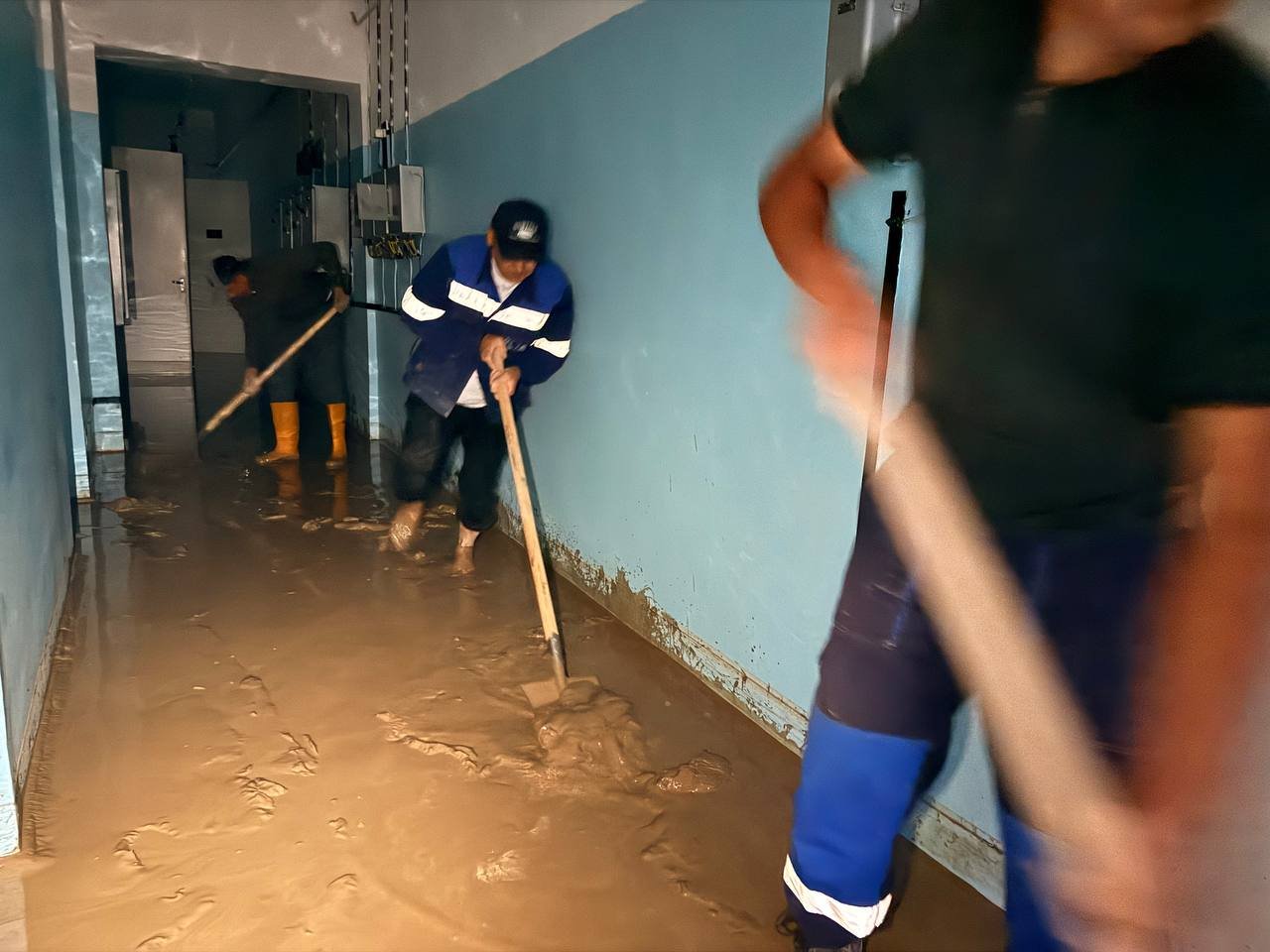 5316671146377813468