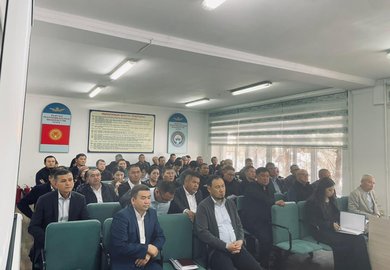 WhatsApp Image 2025-11-10 at 13.50.59