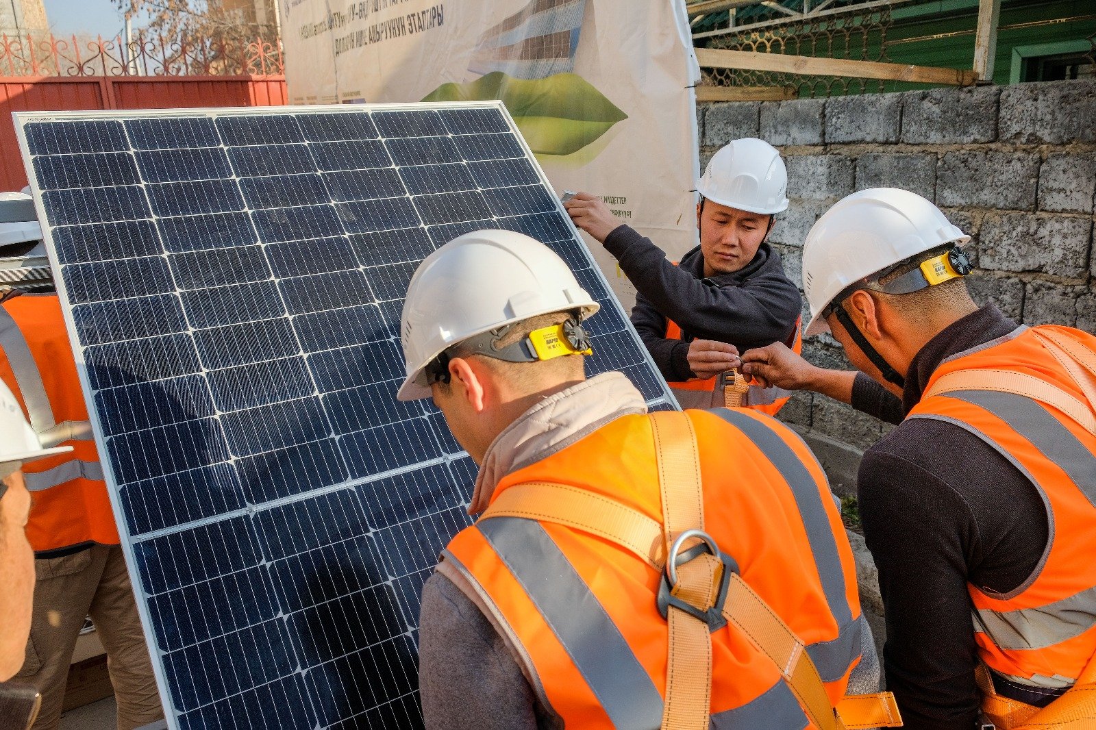 WhatsApp Image 2025-12-12 at 14.25.19