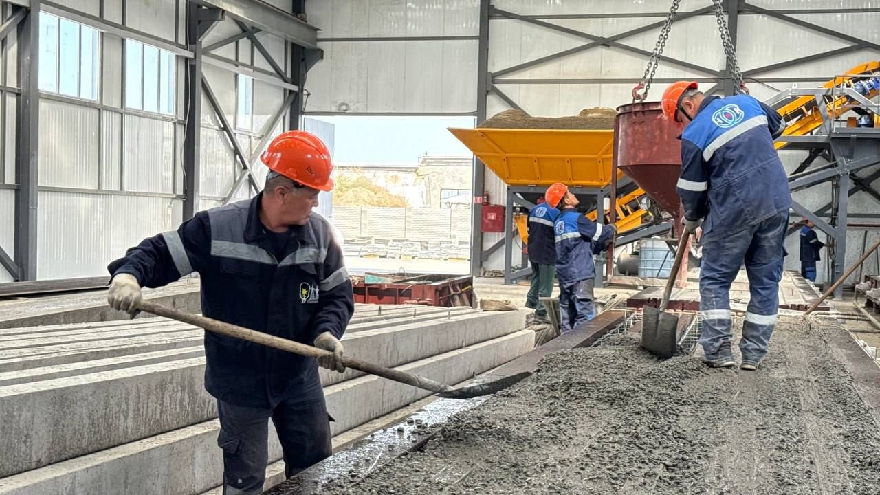 WhatsApp Image 2026-03-12 at 13.01.00 (2)